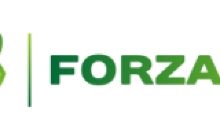 Forzaem